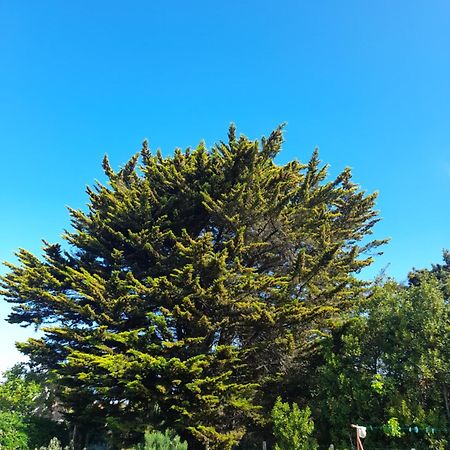 Appartamento Le Stud' à Saint Pierre d'Oléron ! Camera foto