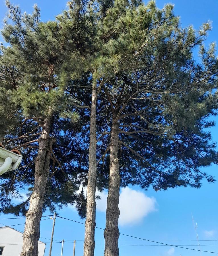 Appartamento Le Stud' à Saint Pierre d'Oléron ! Esterno foto